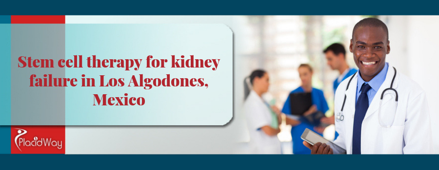 Stem Cell Therapy for Kidney failure in Mexico